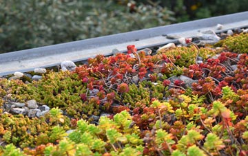 the cost of Kedslie green roof installation