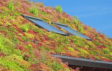 Kedslie living roof systems