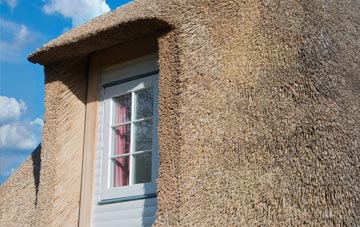 Kedslie thatch roof disadvantages